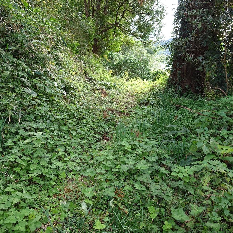 門川城