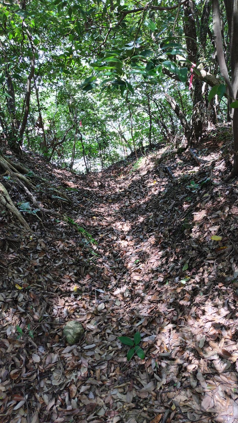 岡豊城