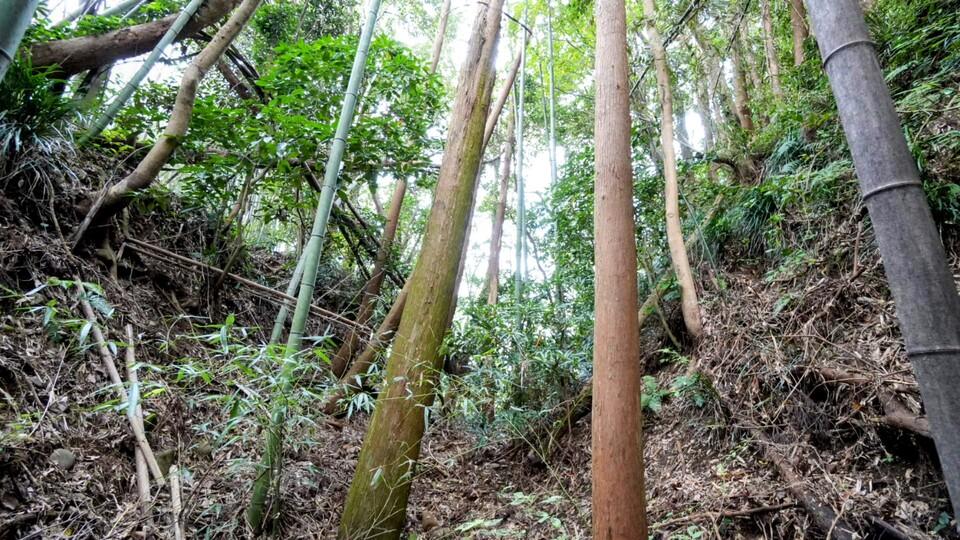宮崎城
