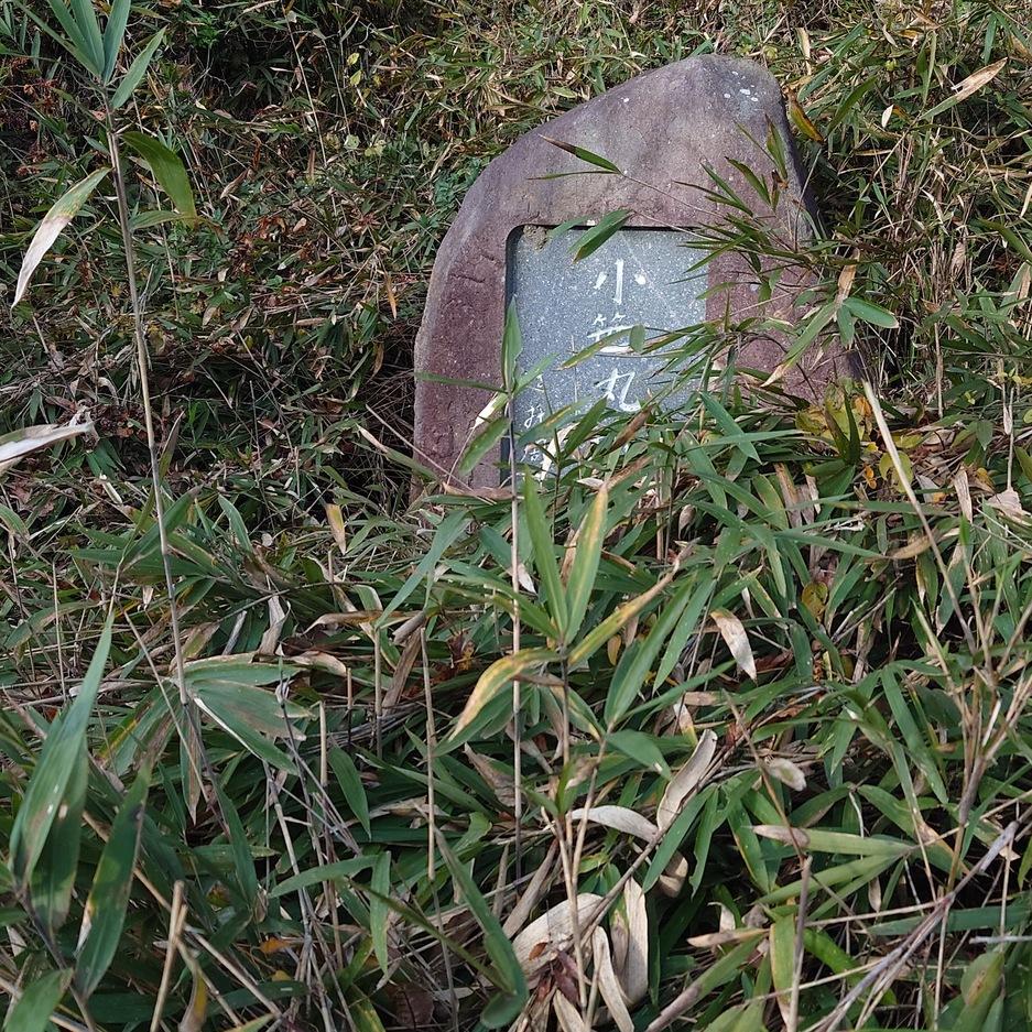 小笹丸城