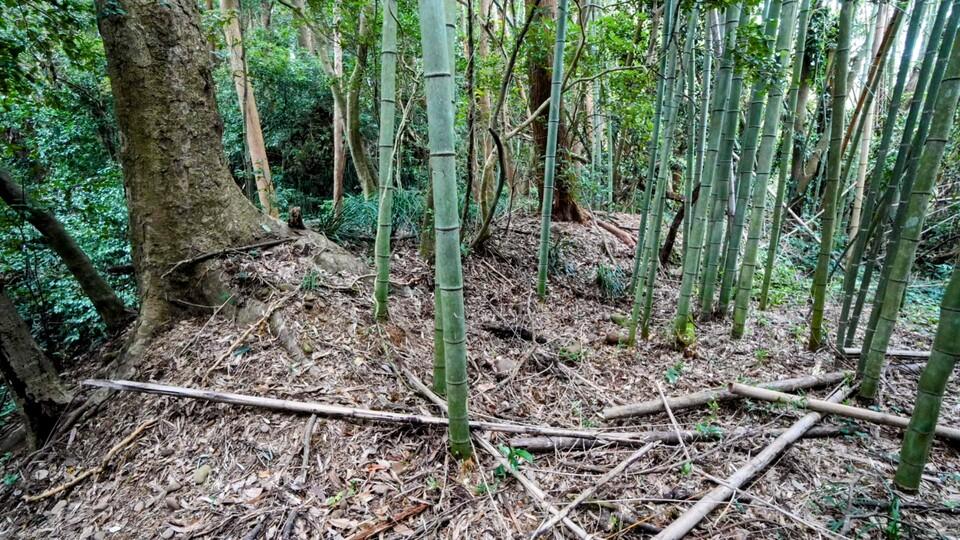 宮崎城