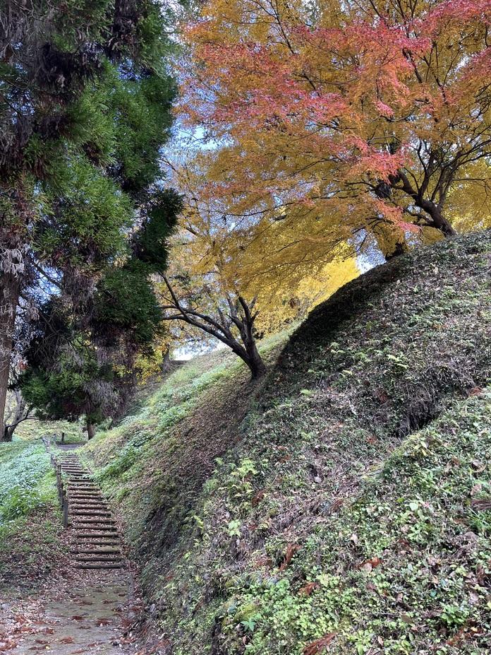 田中城