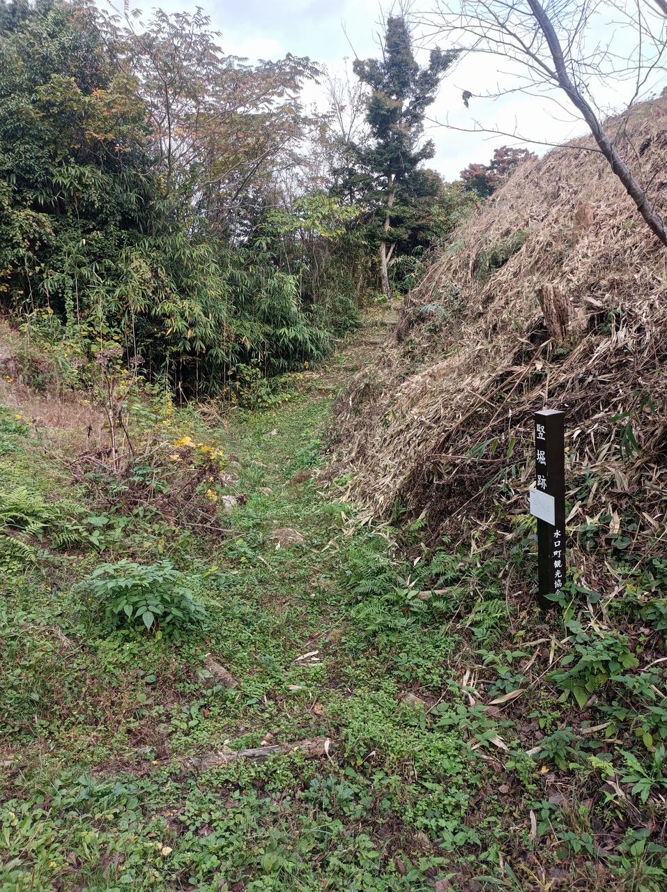 水口岡山城
