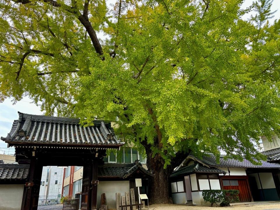 守口城