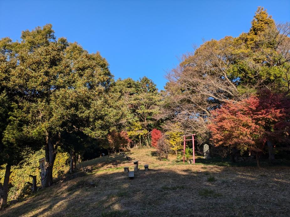 花沢城