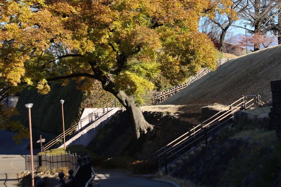 前橋城