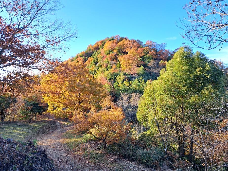 西長尾城