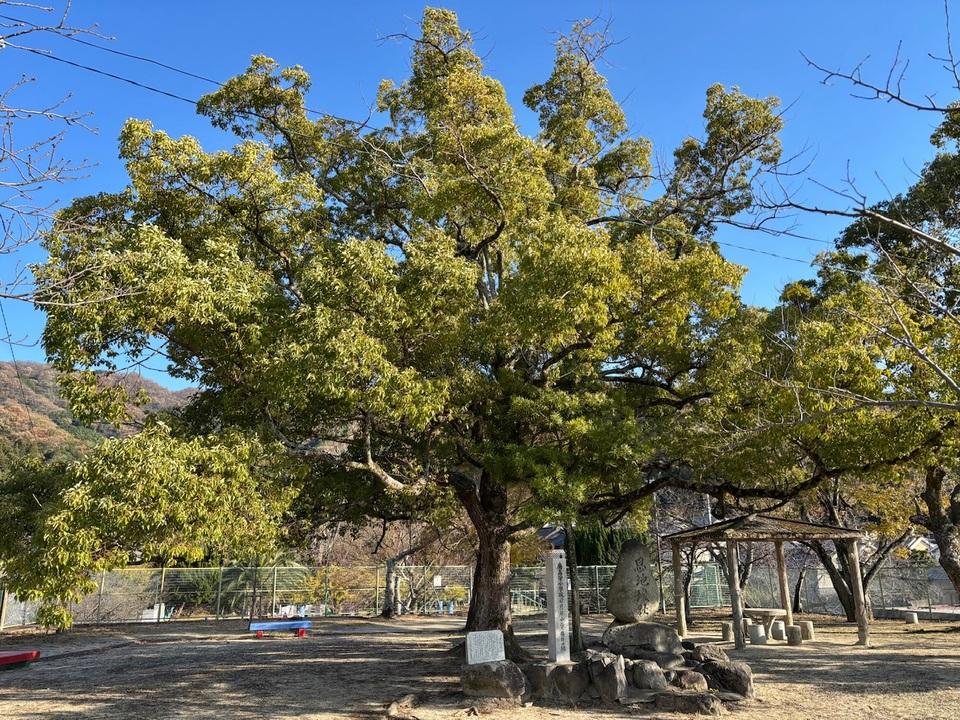 恩智城
