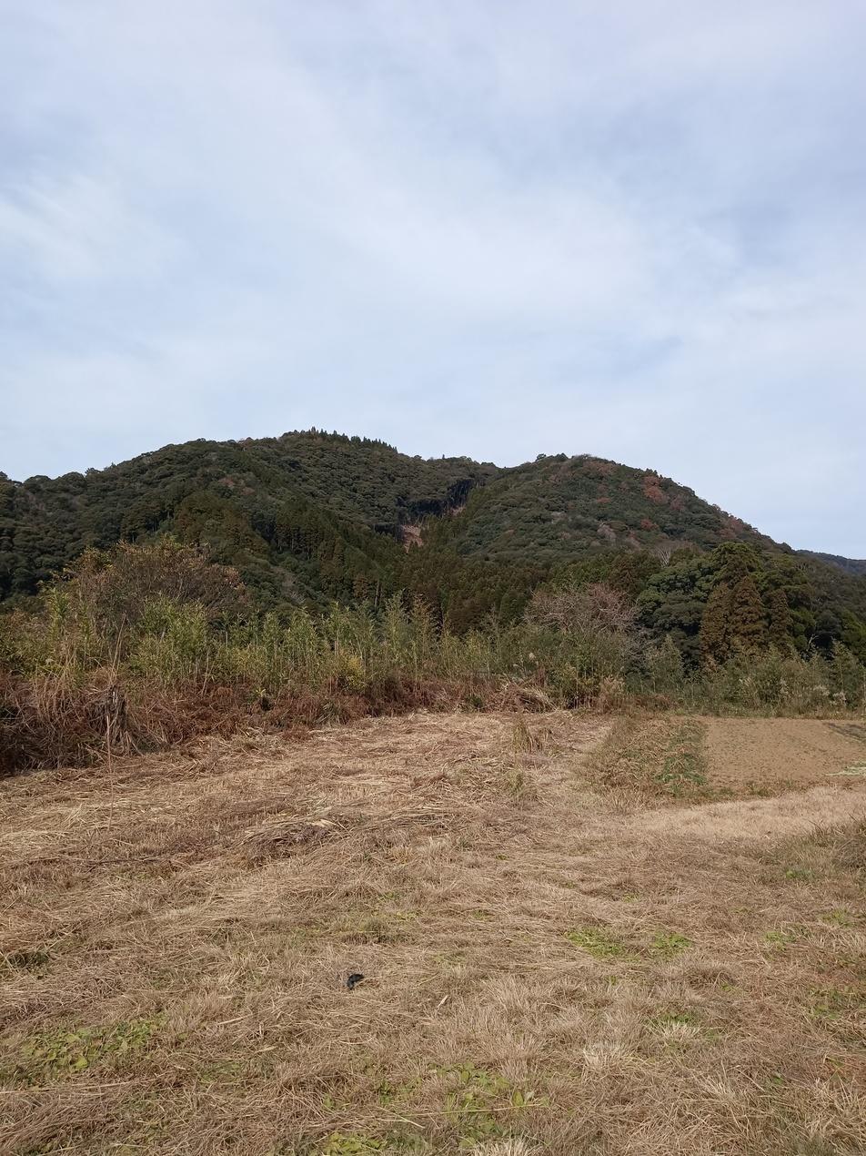 川坂城