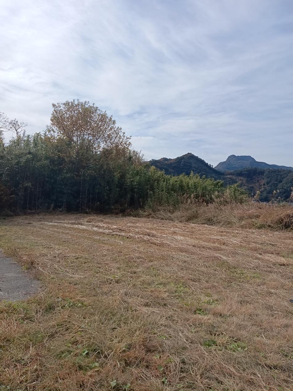 川坂城