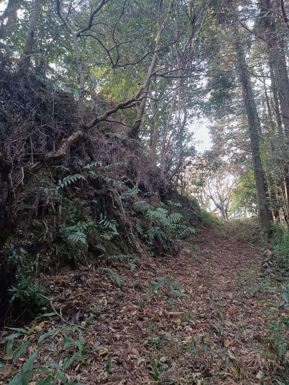 松尾城
