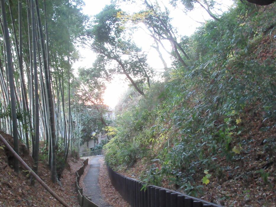 寺尾城