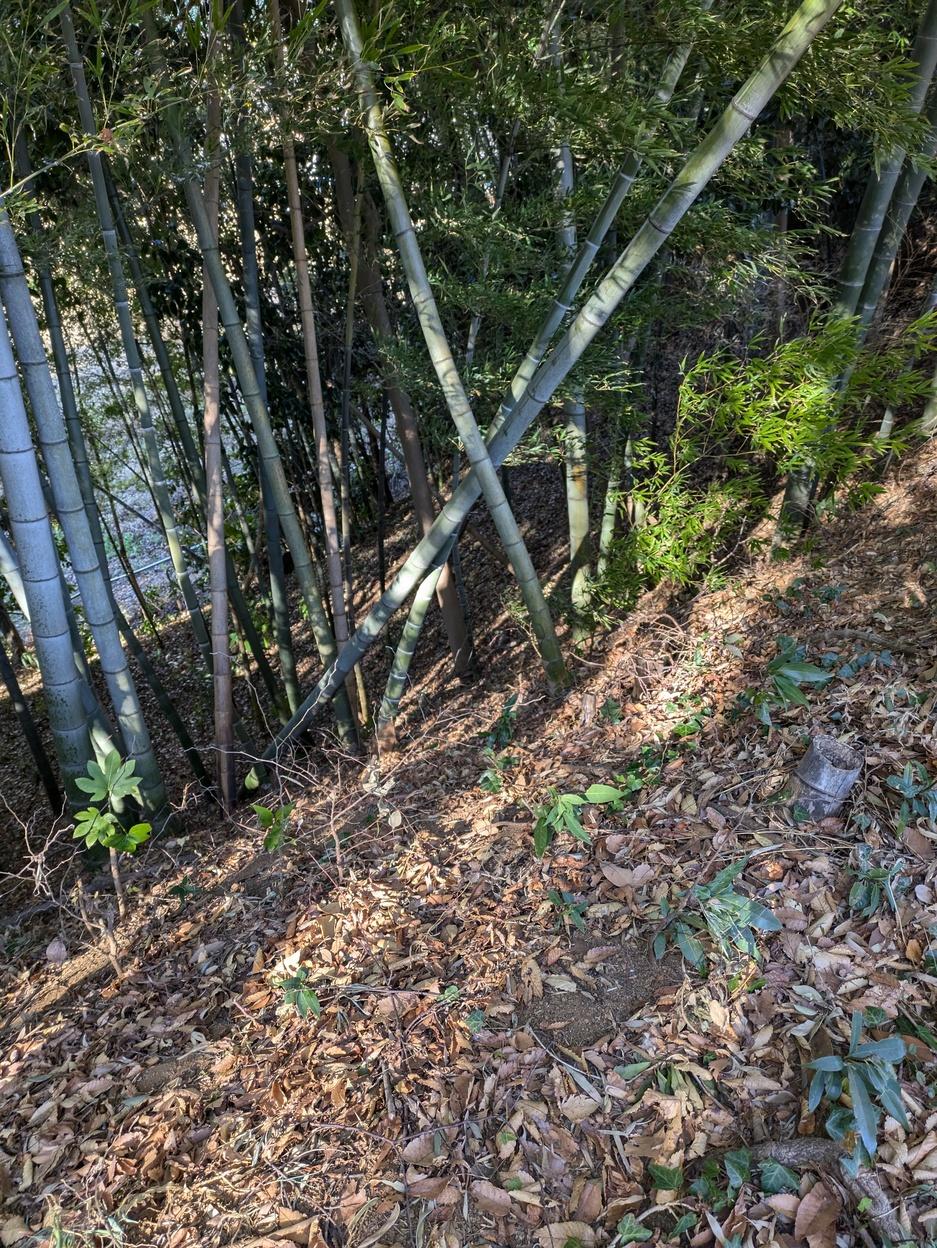 実籾城