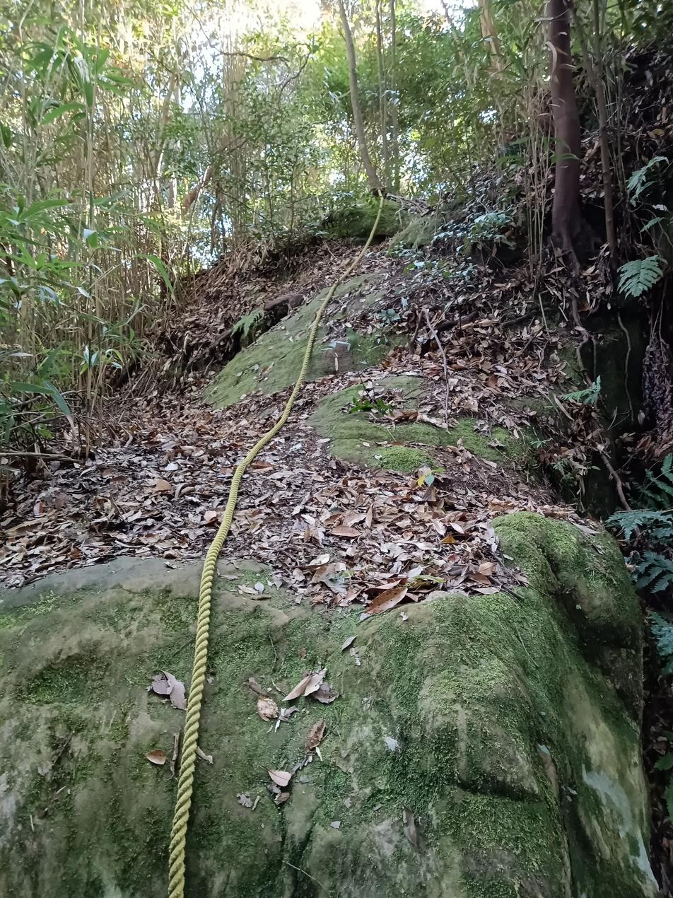 直谷城