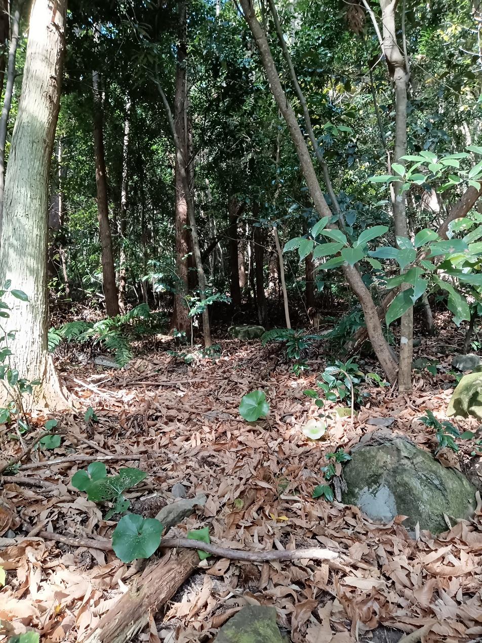 沖田城
