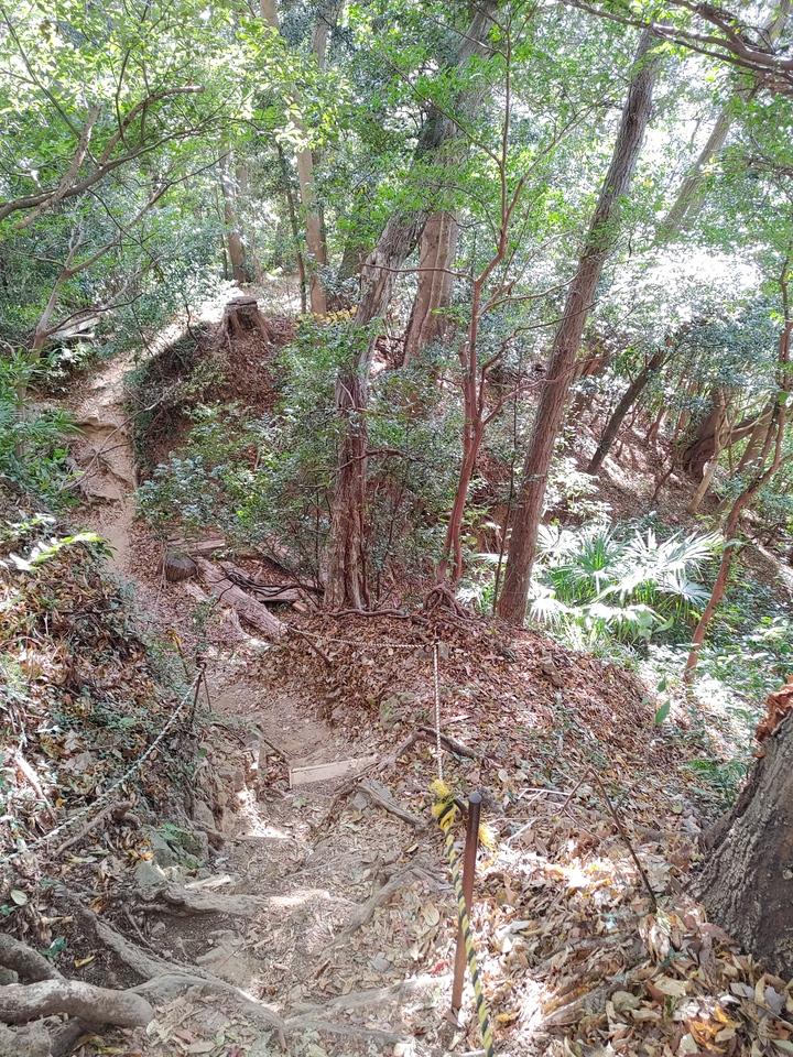 賤機山城