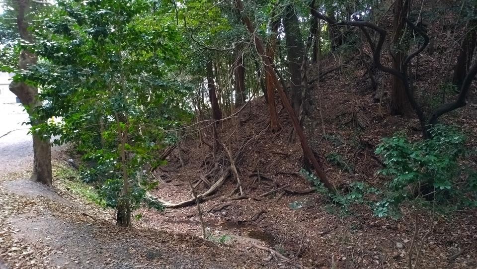 青地城