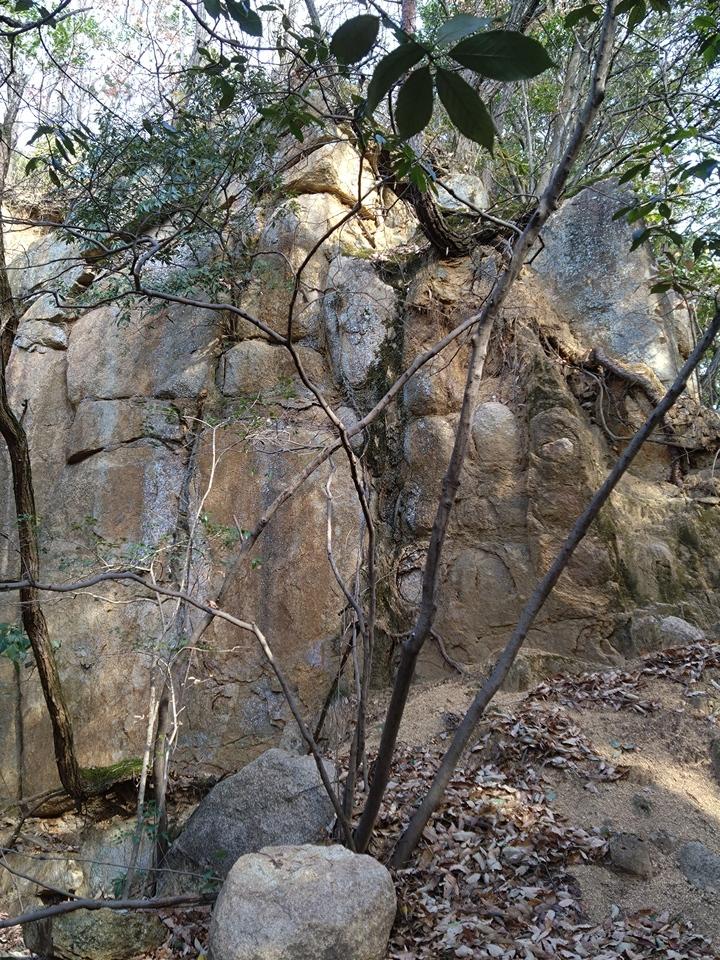 明禅寺城