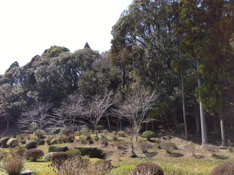 那珂城