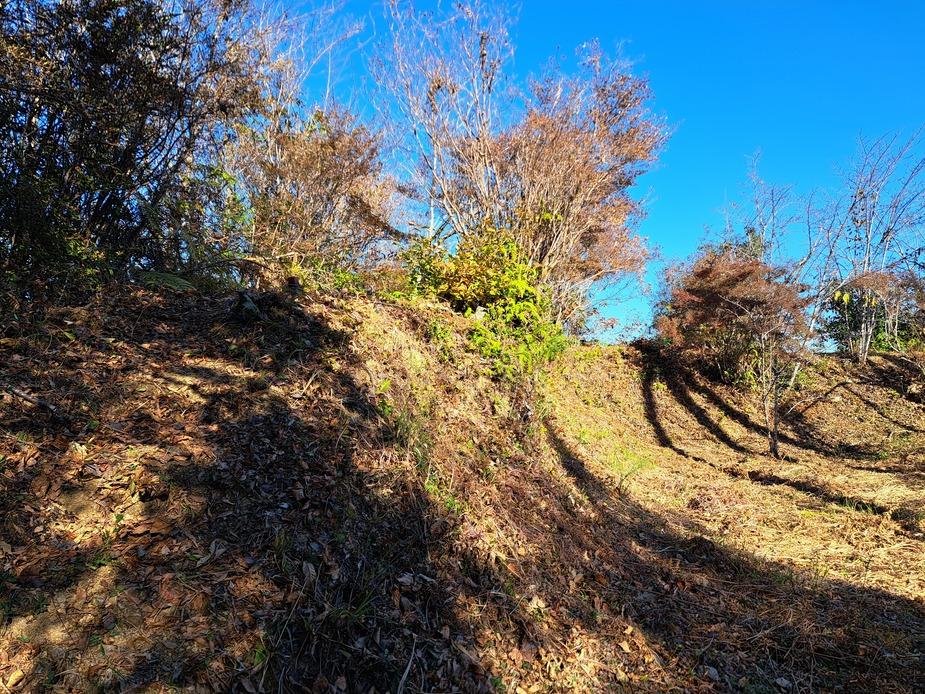 波川玄蕃城