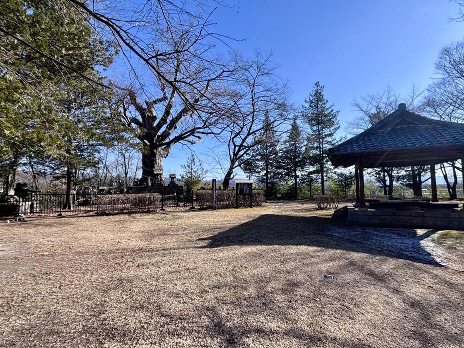 大井城