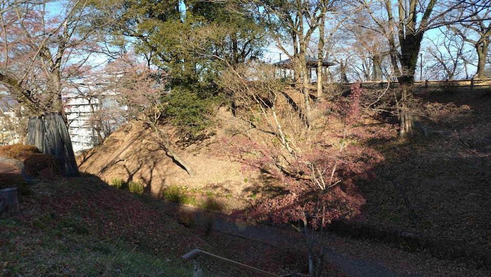 佐野城