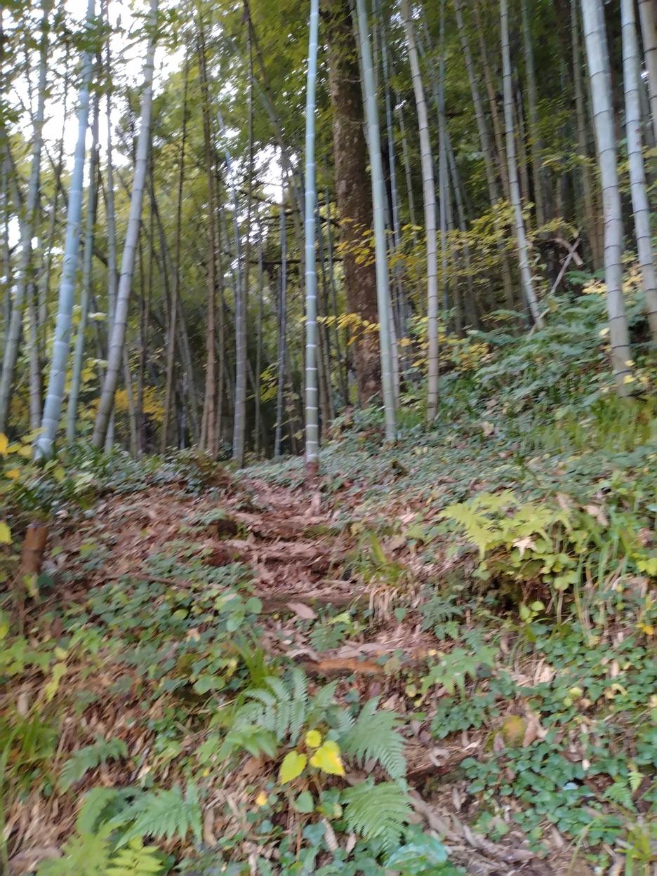 小国城