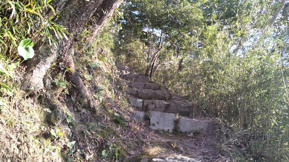 丸山城