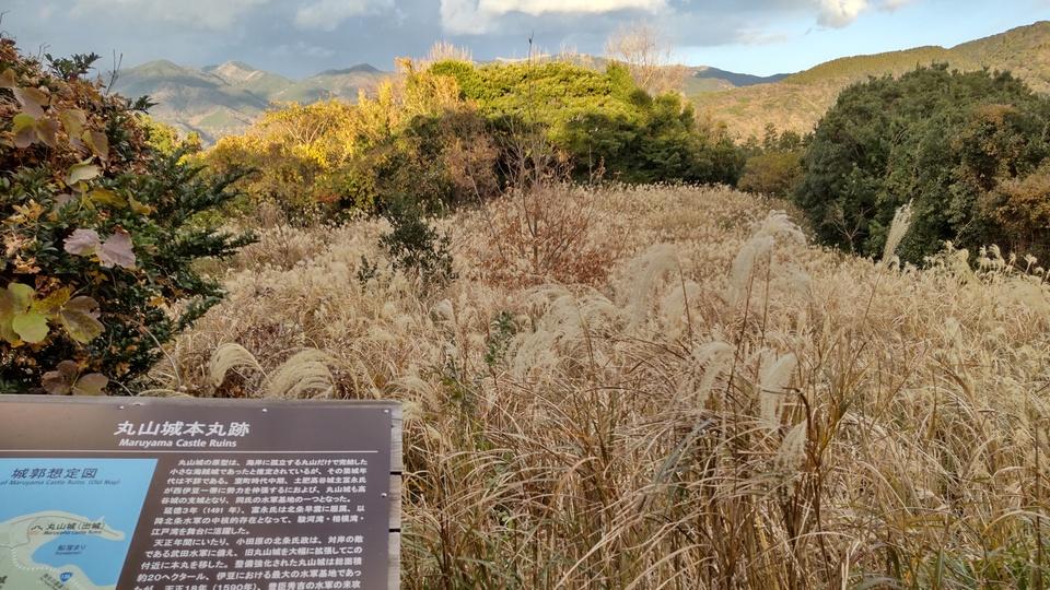 丸山城