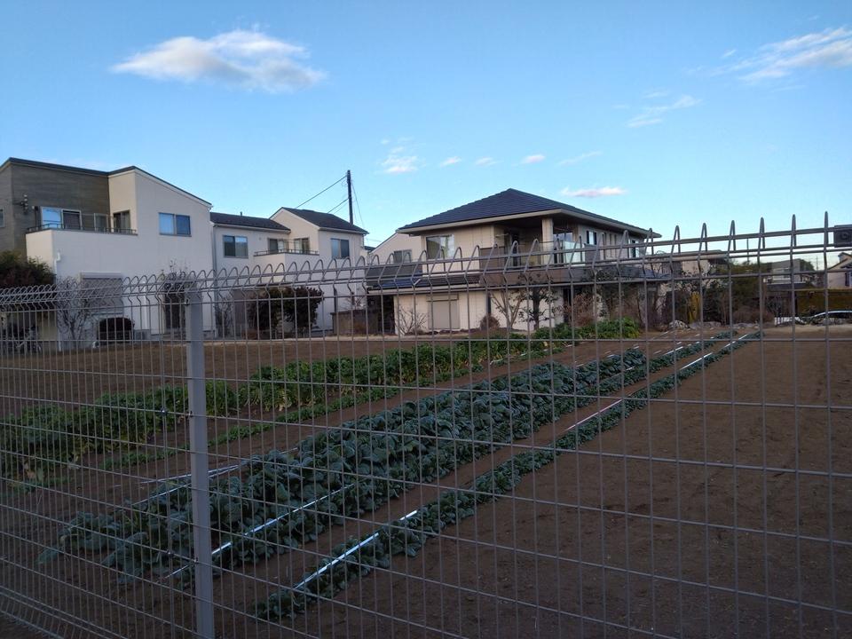 大和田陣屋