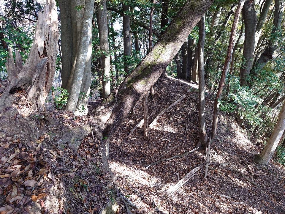 狩野城