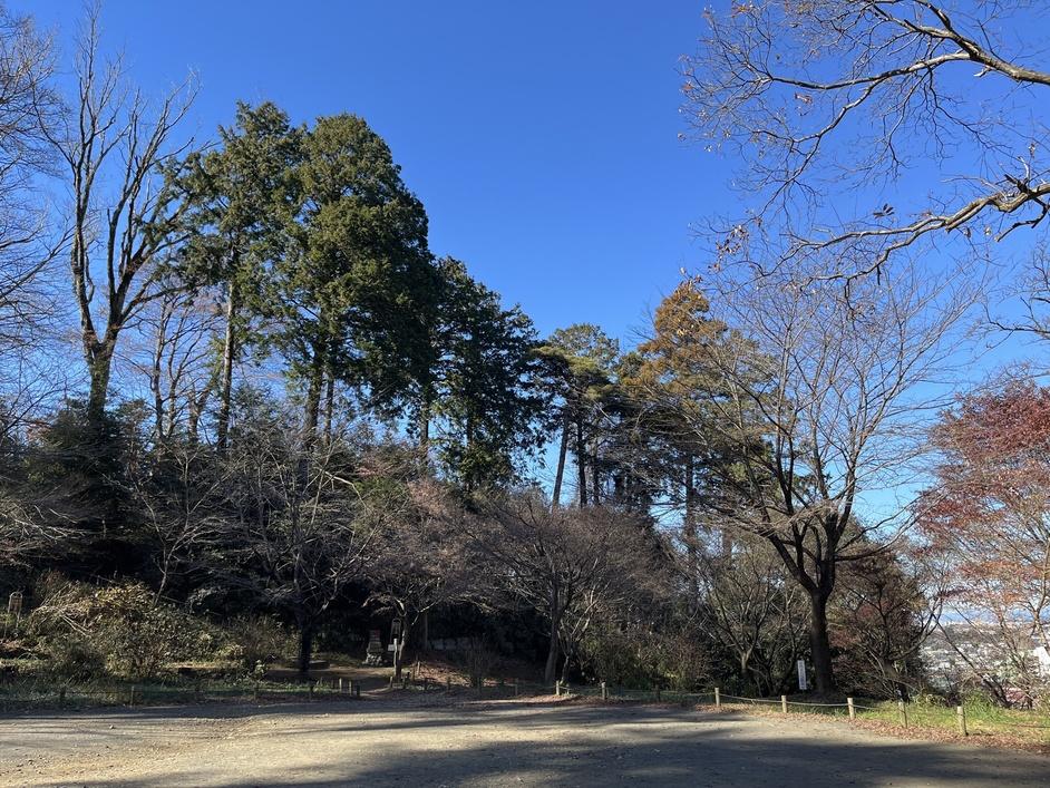 高幡城