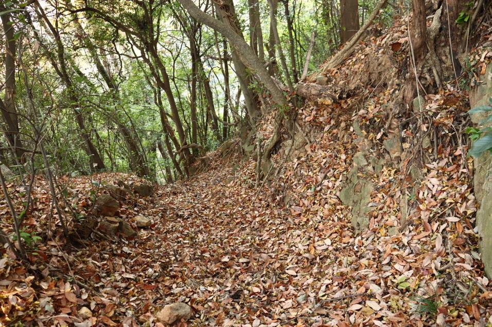 新田金山城