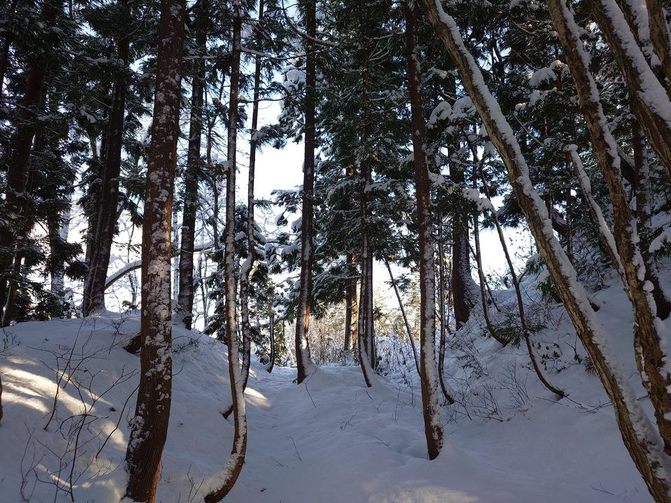畑谷城
