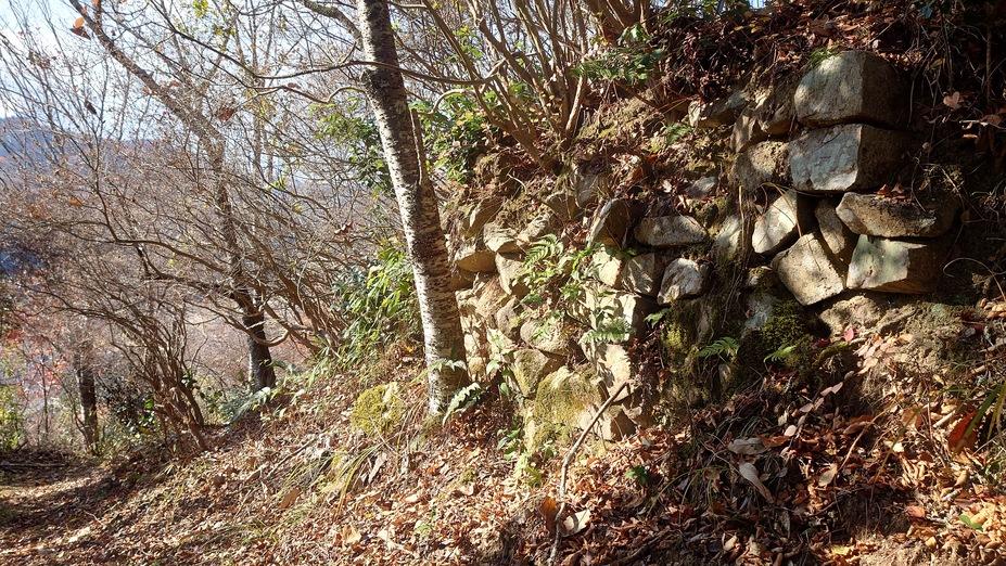 楢崎城
