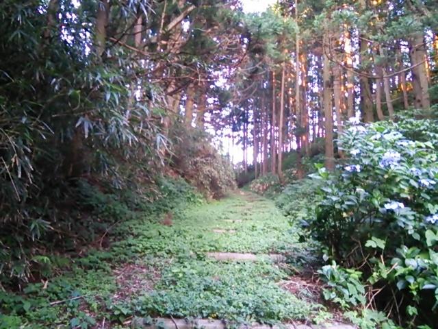 狩川城