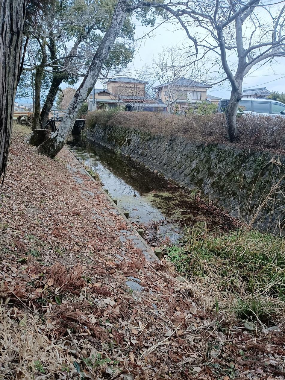 蓮池城