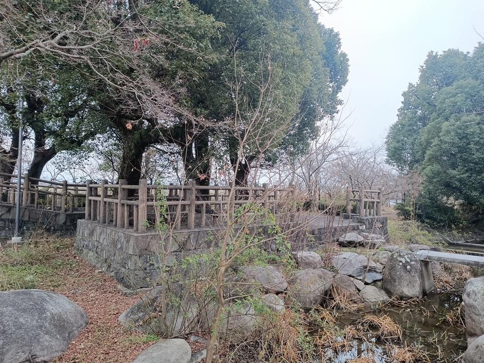 蓮池城