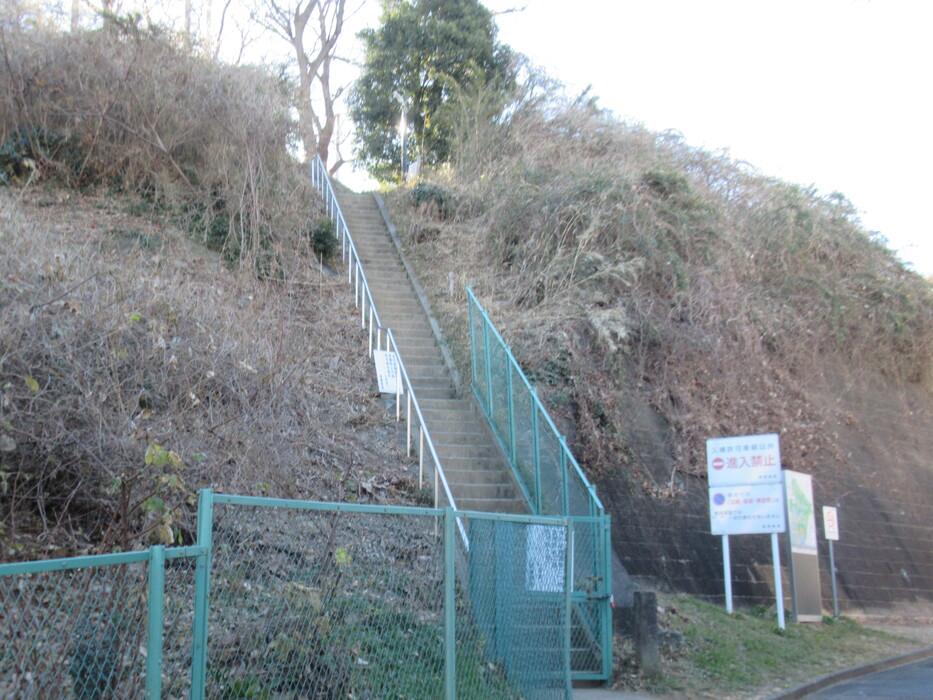 矢上城