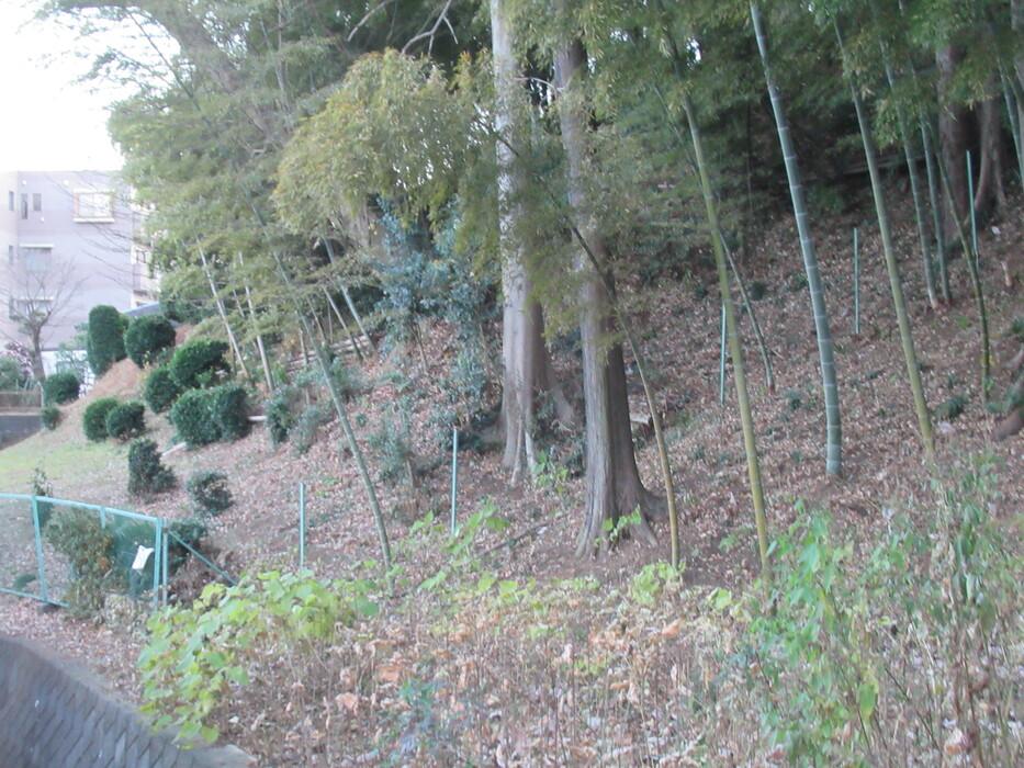 荏田城