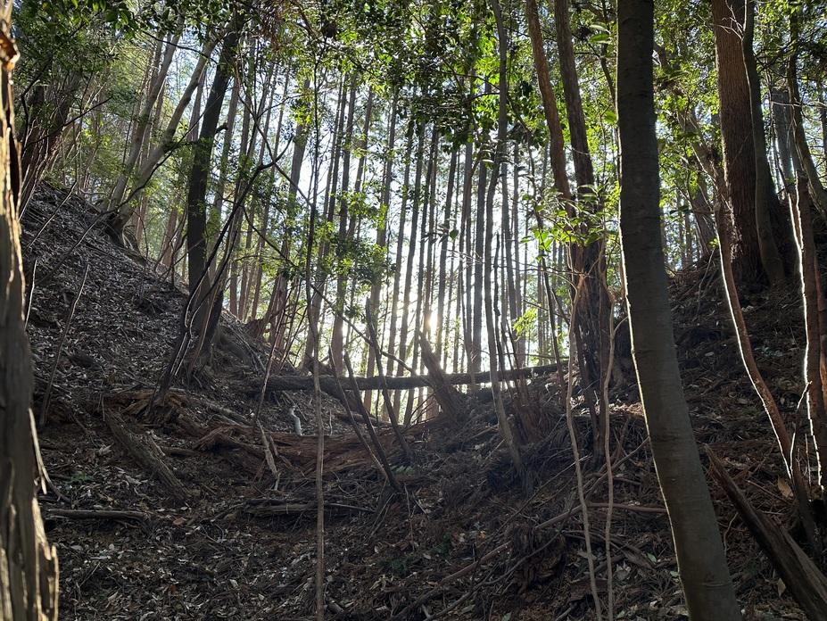 畑城
