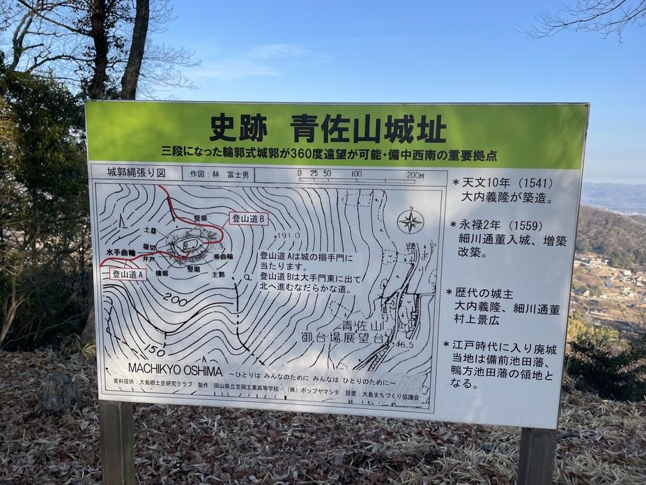 青佐山城