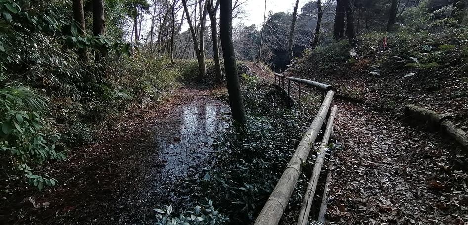 額田城