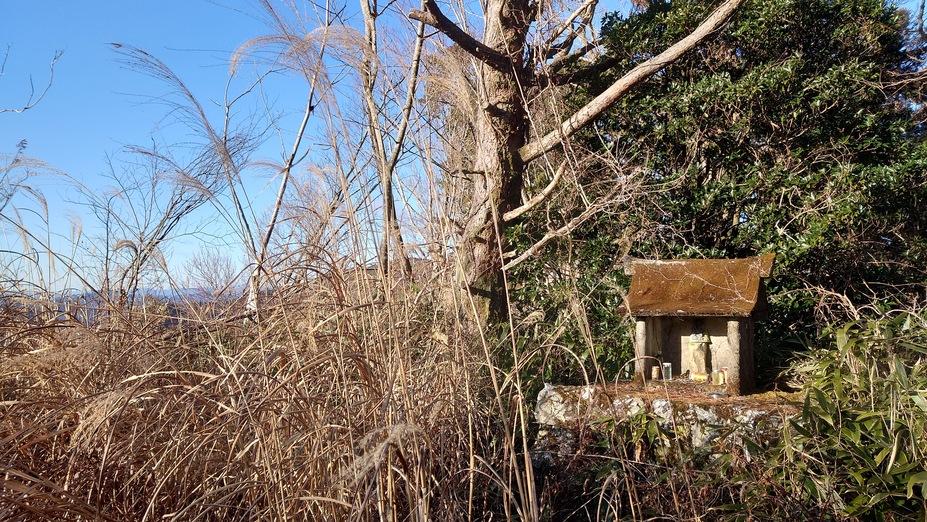 陣ヶ森城