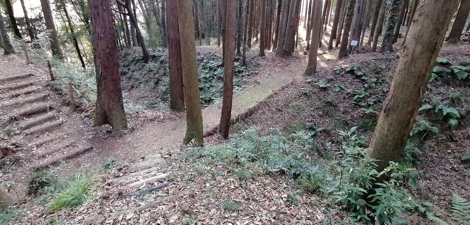 南酒出城