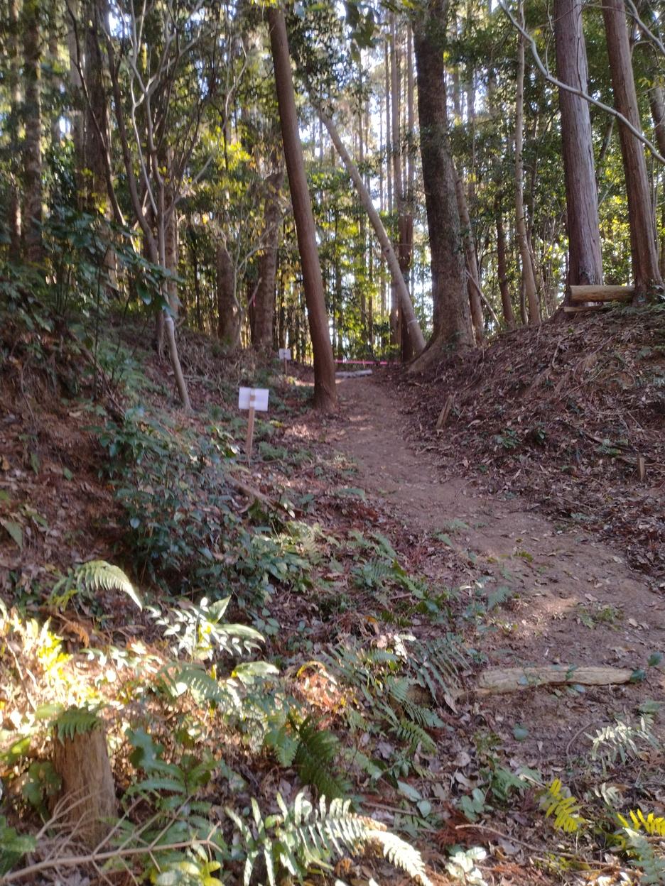 出水城