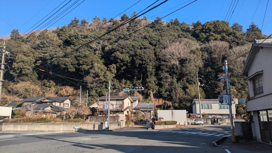 金川城