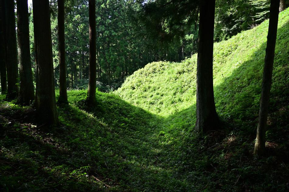 岩櫃城（群馬県吾妻郡）の詳細情報・口コミ | ニッポン城めぐり