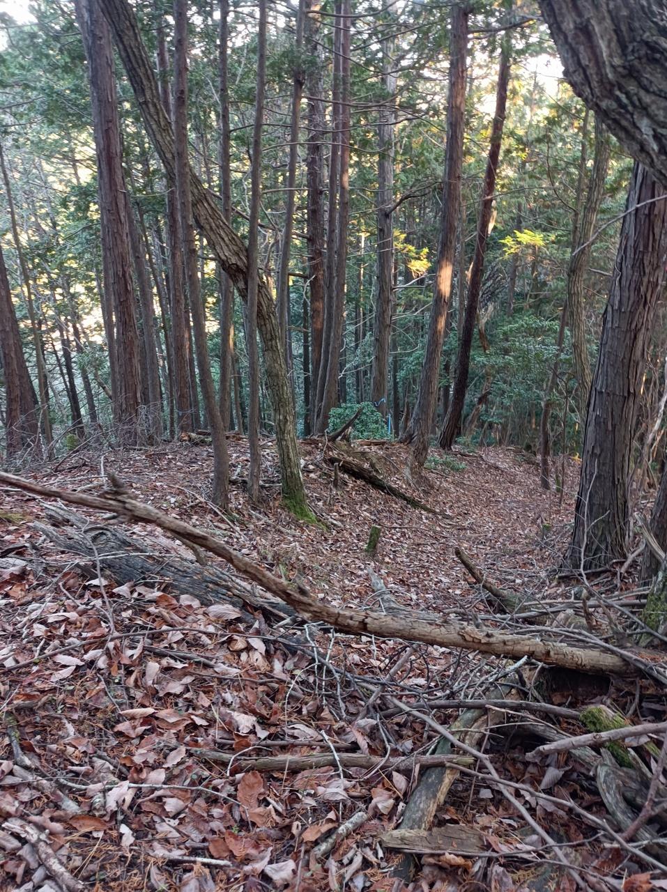 金山城