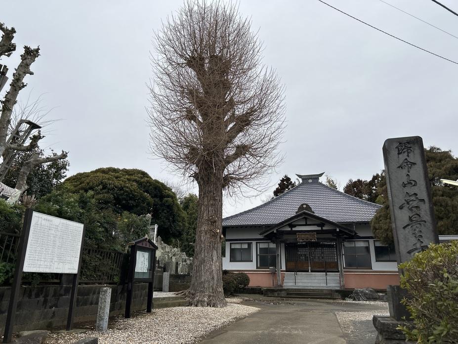 岡崎城